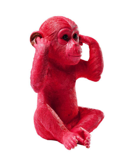 Monkey red