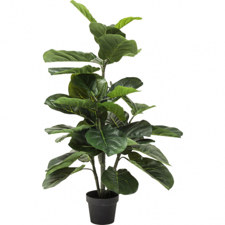 Pianta decorativa Fiddle Leaf 120cm