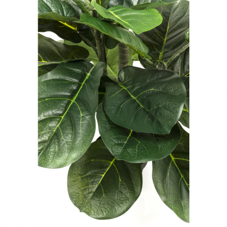 Pianta decorativa Fiddle Leaf 120cm