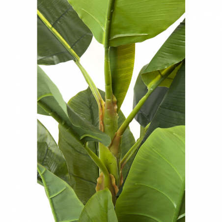 Pianta decorativa Banana Tree 180cm